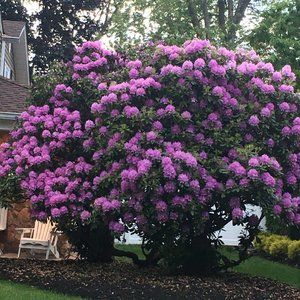 Meet your Posher, Cynthia